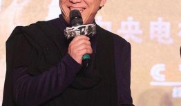 娱乐吃瓜高情商男明星,男明星的智慧与魅力