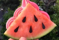 吃瓜网红照片头像贴纸,揭秘明星幕后生活