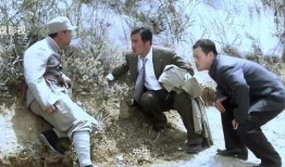 风筝28集在线观看,揭秘神秘事件，悬念迭起引观众入胜