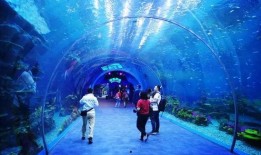 海洋最新爆料视频播放网站