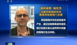 香港爆料新冠病毒视频,疫情真相与防控挑战