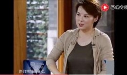 袁立爆料黑幕视频,真相与反思