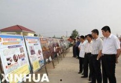 临沭县最新爆料新闻,最新爆料揭示惊人真相